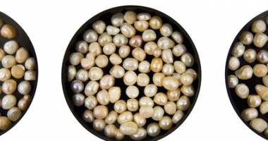 Pěstování perel - charakteristika