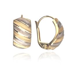 MOISS náušnice ze žlutého zlata BICOLOR