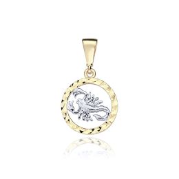 MOISS přívěsek ze žlutého zlata ŠTÍR BICOLOR