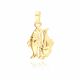 MOISS přívěsek ze žlutého zlata RYBY