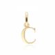 MOISS přívěsek ze žlutého zlata PÍSMENO C