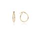 MOISS náušnice ze žlutého zlata