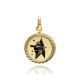 MOISS přívěsek ze žlutého zlata STŘELEC