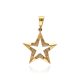 MOISS přívěsek ze žlutého zlata HVĚZDA