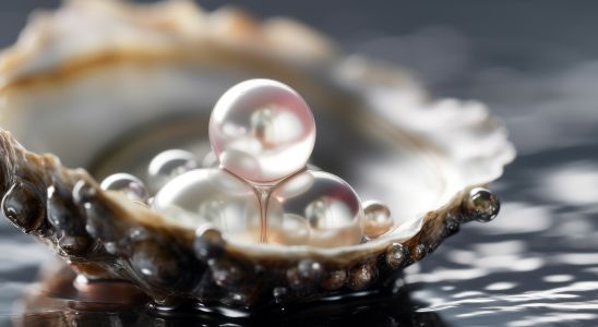 Jaké perly existují?