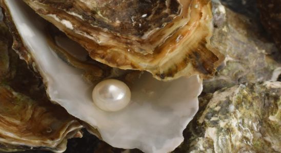 Pěstování perel - Ego fashion