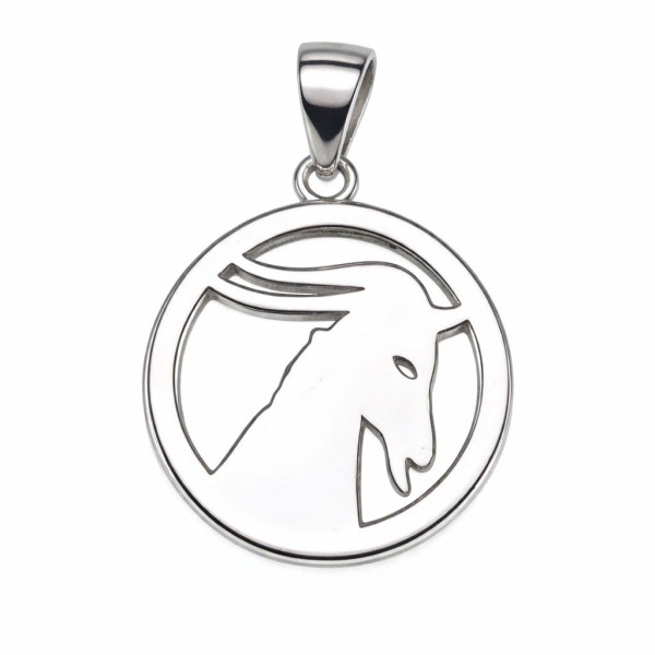 MOISS stříbrný přívěsek KOZOROH