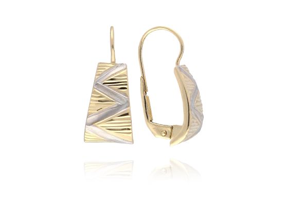 MOISS náušnice ze žlutého zlata BICOLOR