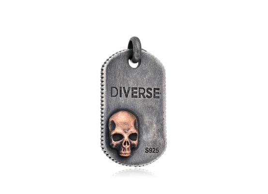 DIVERSE stříbrný přívěsek